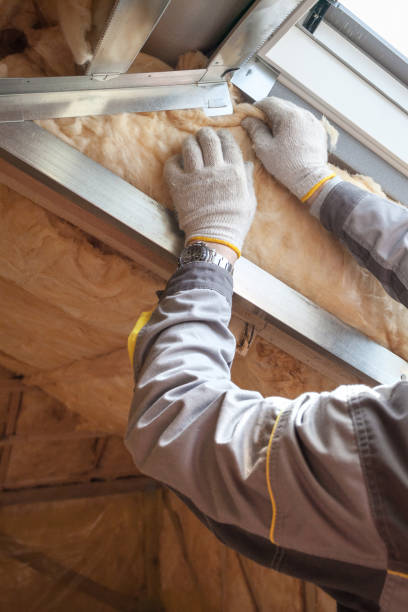 Best Eco-Friendly Insulation in Woodsboro, MD