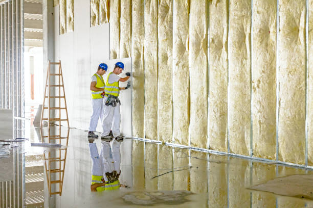 Best Fiberglass Insulation in Woodsboro, MD